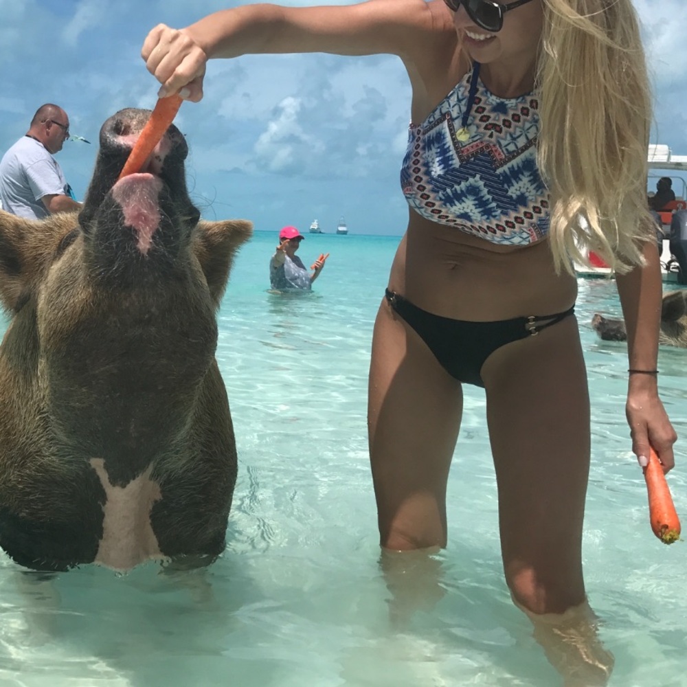 A&F bikini - Picture 6 of 6